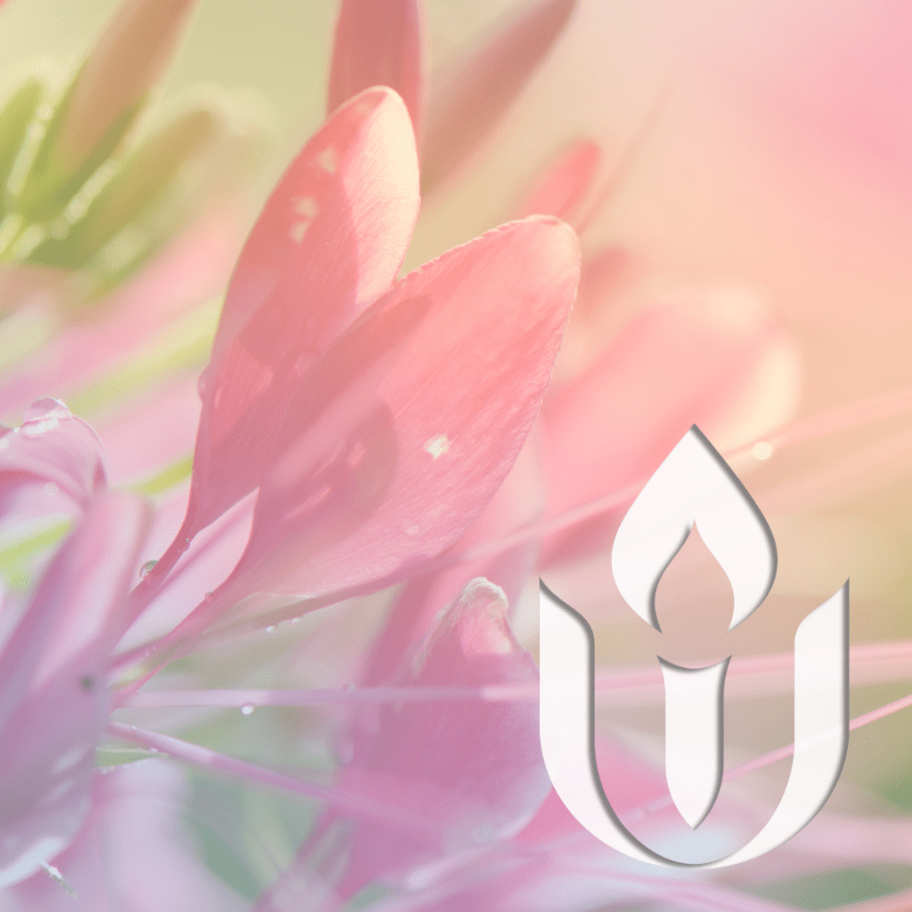 White chalice on baground of pink flowers.